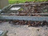 image of grave number 238082